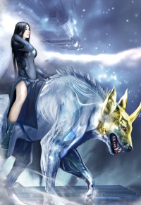 独宠狂妻:我的特种兵老婆