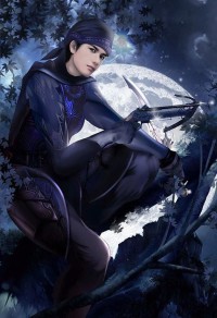 花都欲美后宫记